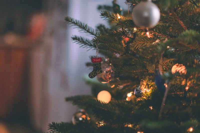 Types of Christmas trees to avoid if you have a small space