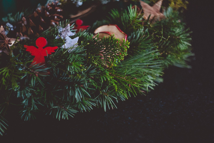 The Noble Fir Christmas Tree - A Symbol of New Life